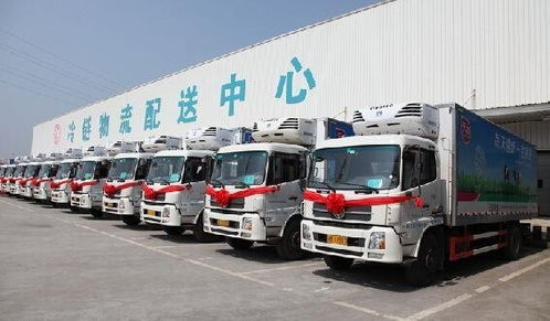 成都到石家莊私家車(chē)運(yùn)輸公司，提供免費(fèi)上門(mén)取車(chē)服務(wù)